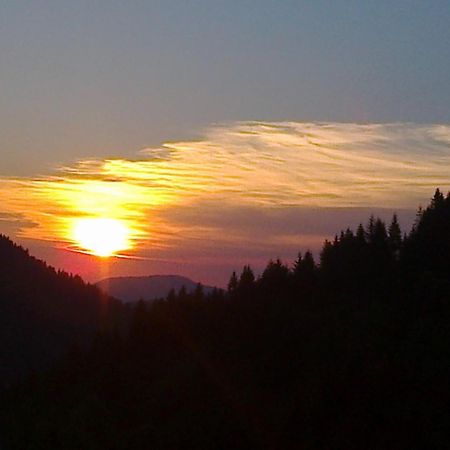 Apartman Bambi Zlatar Nova Varoš Rum bild