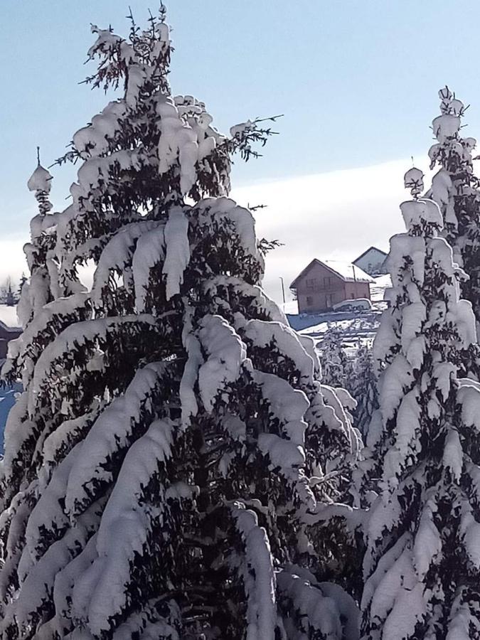 Apartman Bambi Zlatar Nova Varoš Exteriör bild