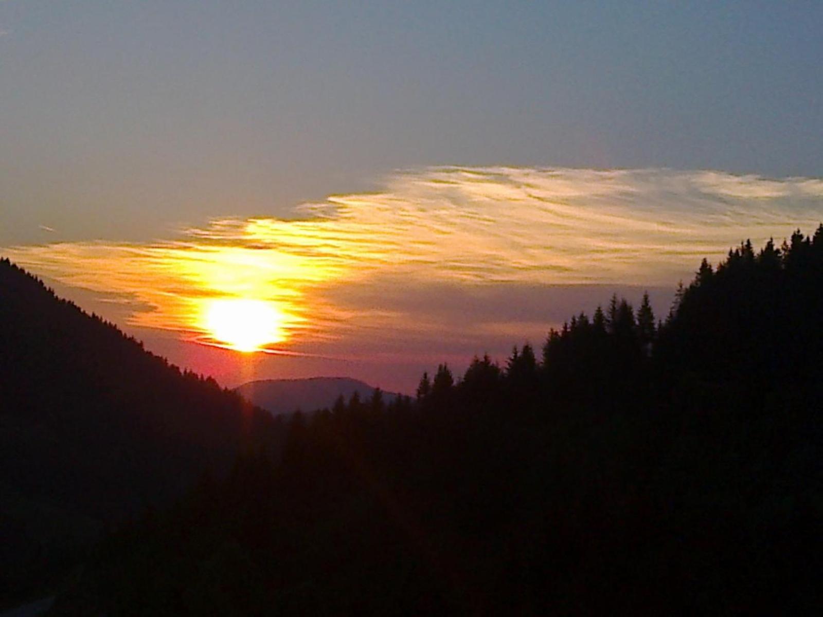 Apartman Bambi Zlatar Nova Varoš Rum bild